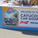 cambriaDR_0207 (November 02, 2019)